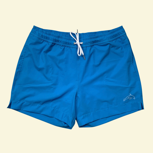 Mens Blue Shorts